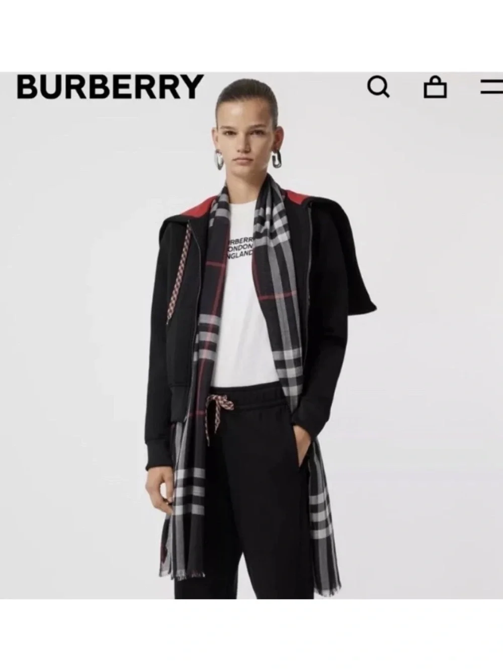 Burberry nwt giant